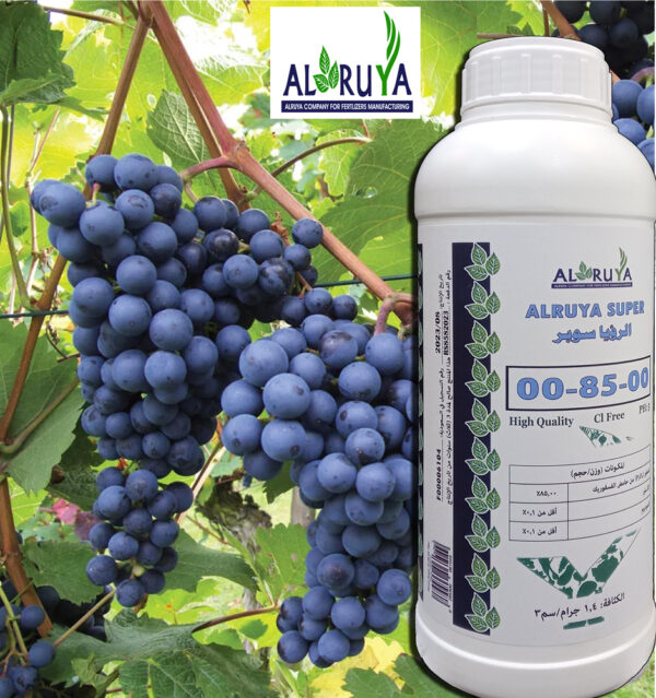 ⁦Alruya Super 00-85-00⁩ - الصورة ⁦2⁩