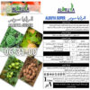 Alruya Super 06-31-00 - Image 3