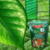 Top 10 29-09-09 - Image 2